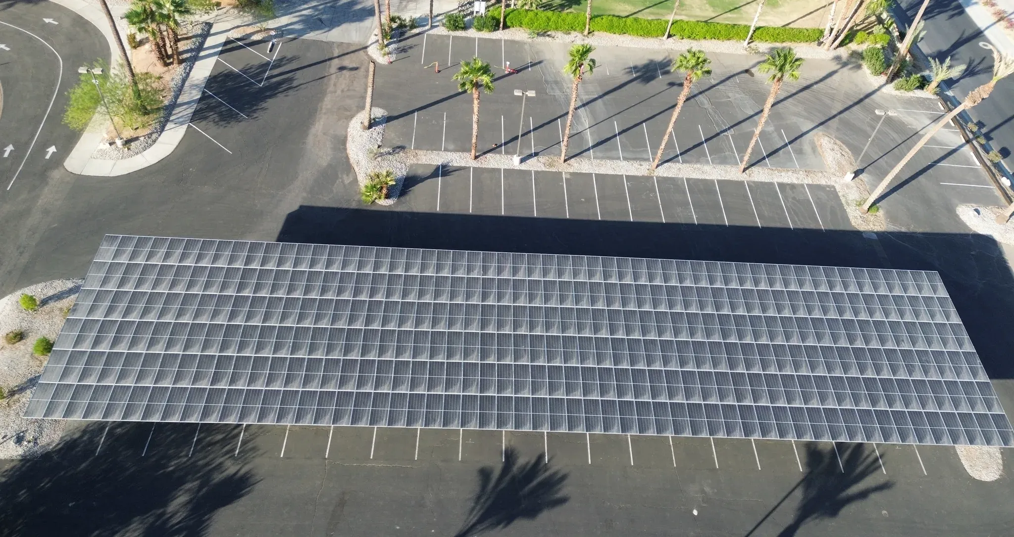 Overhead drone view of a long solar carport array shading a desert parking lot lined with palm trees