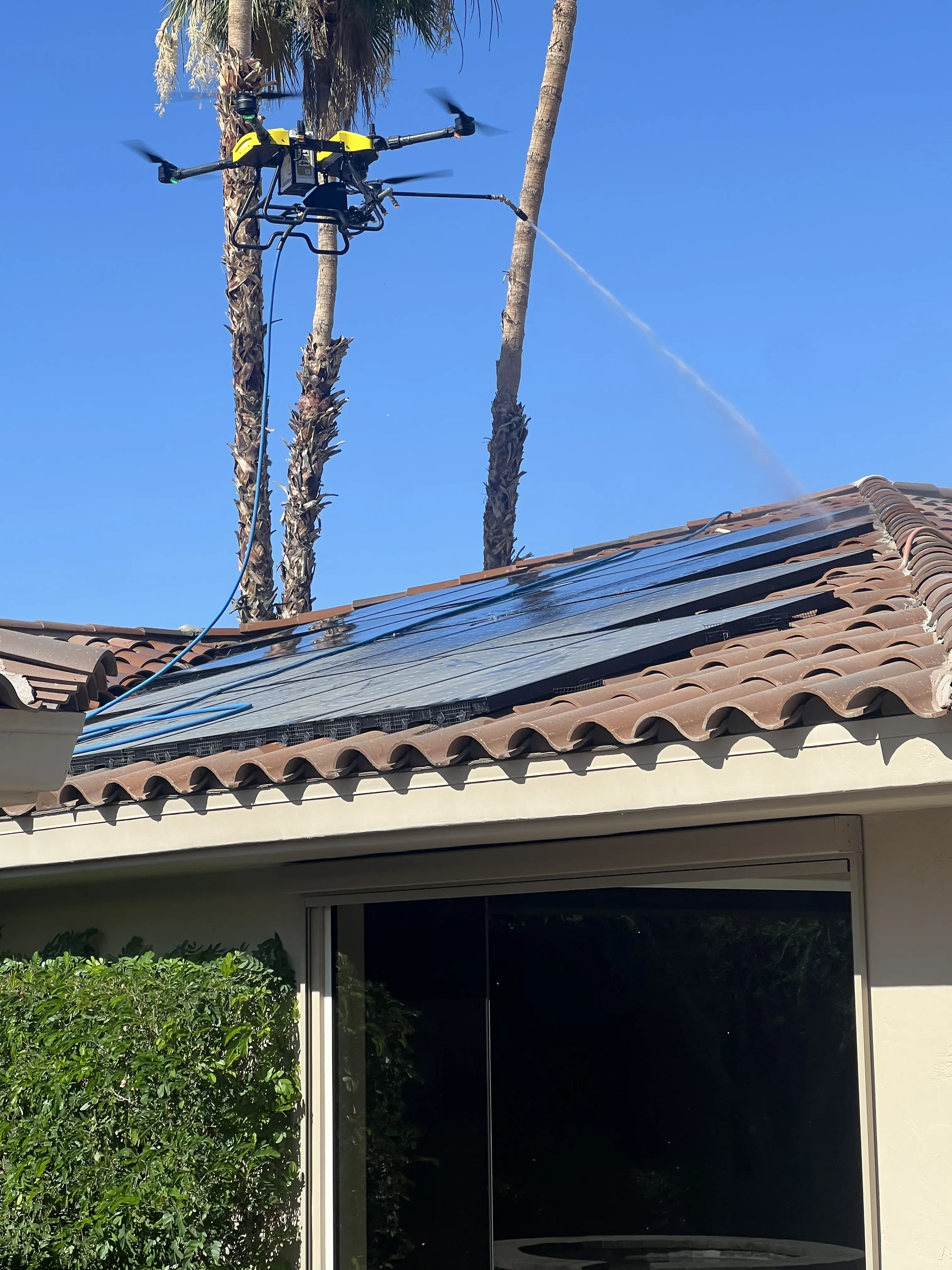 Vertical view of rooftop solar panels with palm trees rising in the background