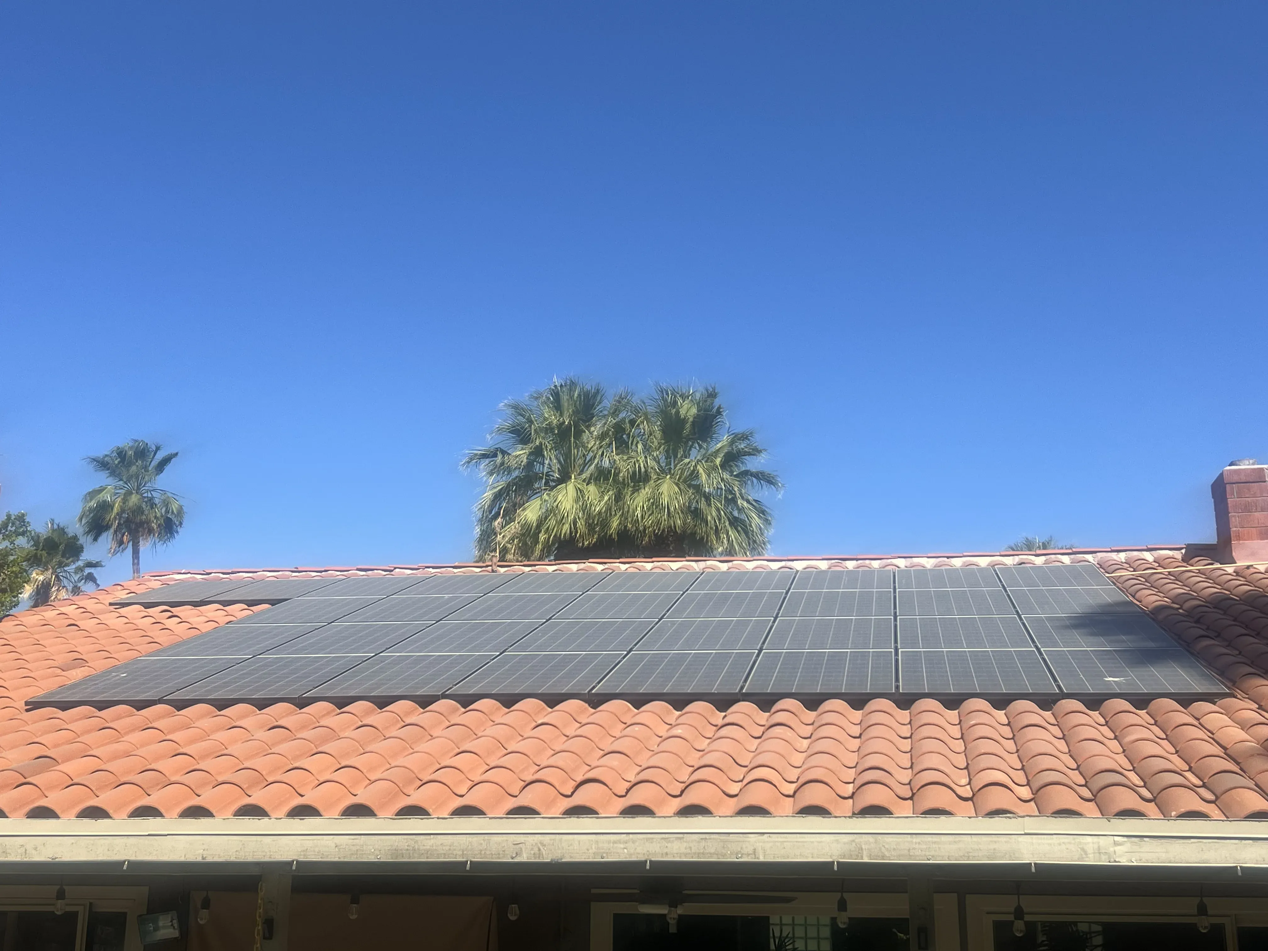 Wide roof shot with solar panels and palm trees framing the array